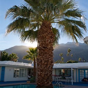 Palm Springs Rendezvous